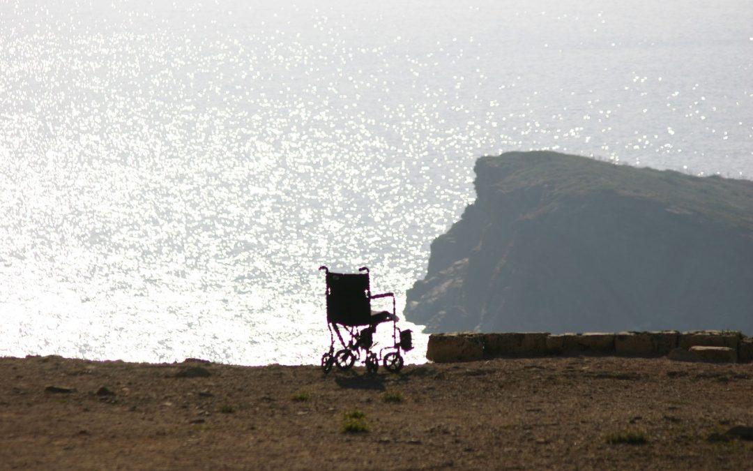 Voyage tragique pour son frère handicapé